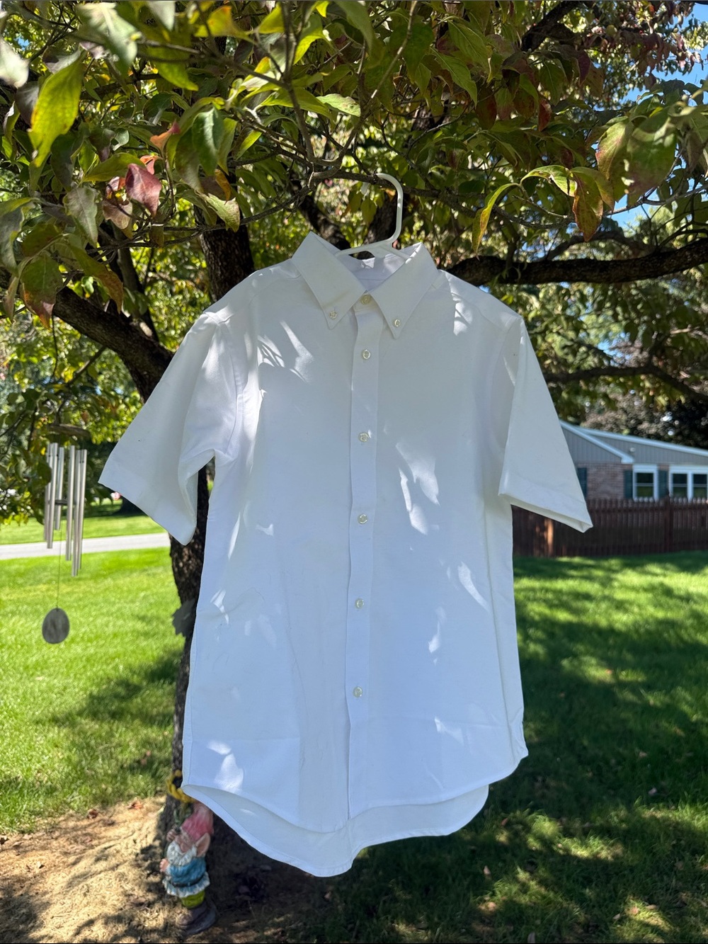 Boys White Short-Sleeve Button-Down Shirt - Classic Collar